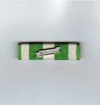 Rep/Vietnam Campaign Medal with Date Bar